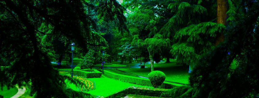 Campo San Francisco